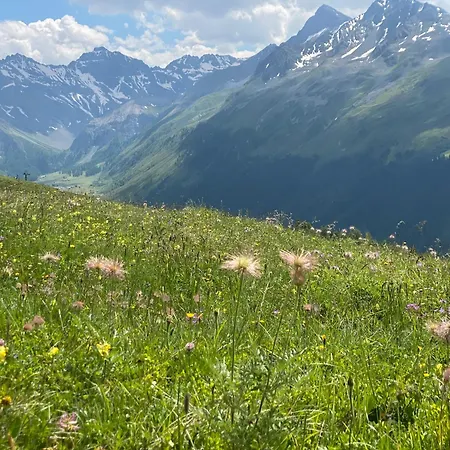 8 Davos