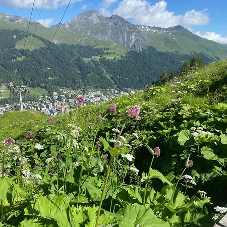 Apartment 8 Davos